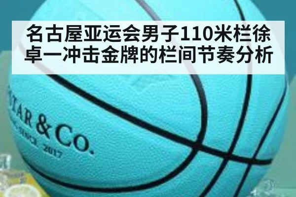 名古屋亚运会男子110米栏徐卓一冲击金牌的栏间节奏分析